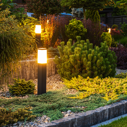 Collection image for: Landscape Lights