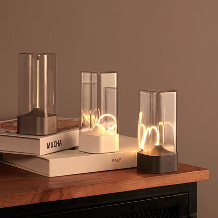 Magnetic Light