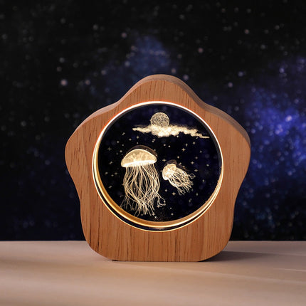 3D crystal ball night light remote

