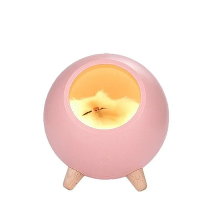 Cat Coze Light