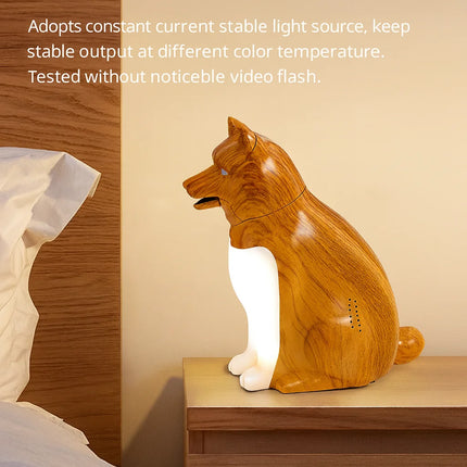Talking New Lucky Dog Bedside Night Light – USB Charging Decorative Lamp with Sound & Aromatherapy