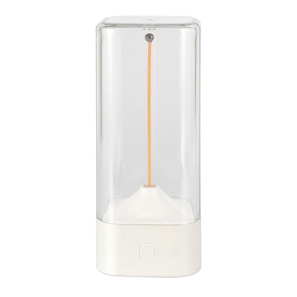 Magnetic Light