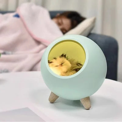 Cat Coze Light