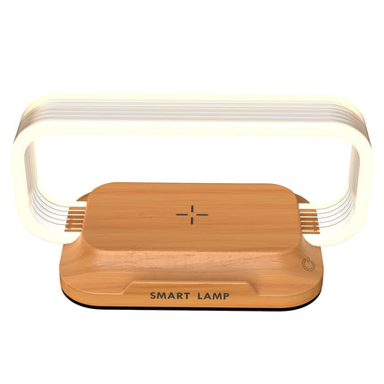 Chargeable light