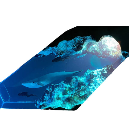Whale & Diver