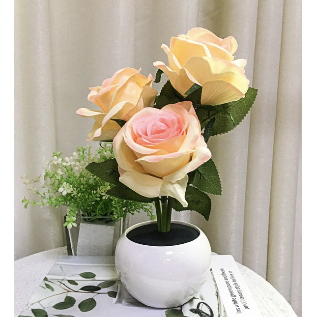 Color-Changing Rose Light

