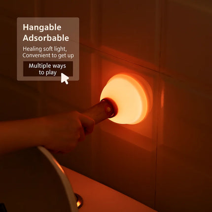 Creative toilet plunger light