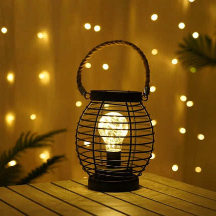 Exposed Bulb Cage Light

