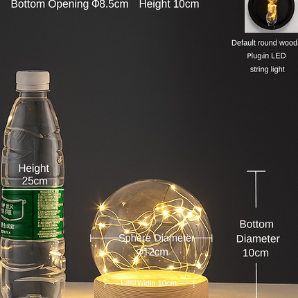 Handmade urchin glass lamp


