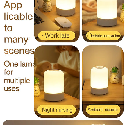 LED Touch Lamp with USB Output

