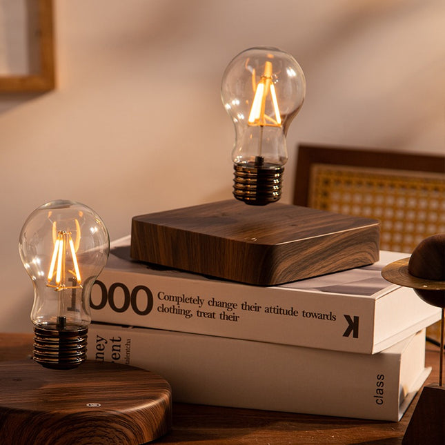 Levitating floating light bulb

