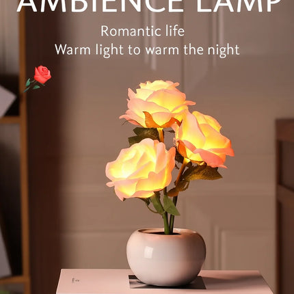 Rose Night Lights