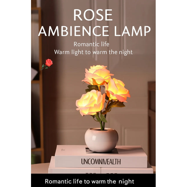 Rose Night Lights
