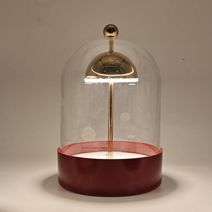 Rose shaped glass lamp

