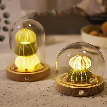 Sea urchin glass lamp

