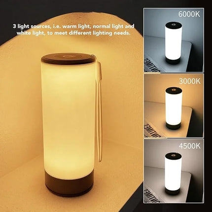 Sleek Study Lamp for Students

