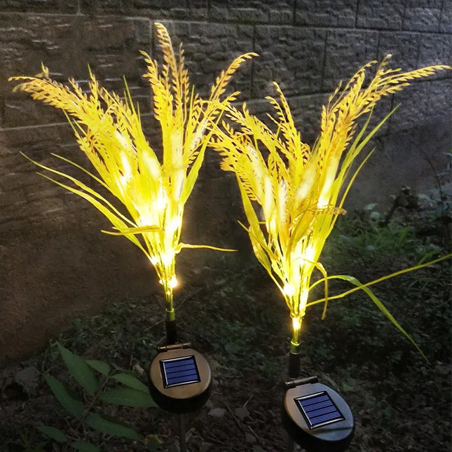 Solar Wheat Light 