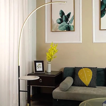 Tall Curved Floor Light

