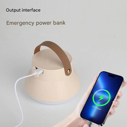 adjustable LED desk lamp