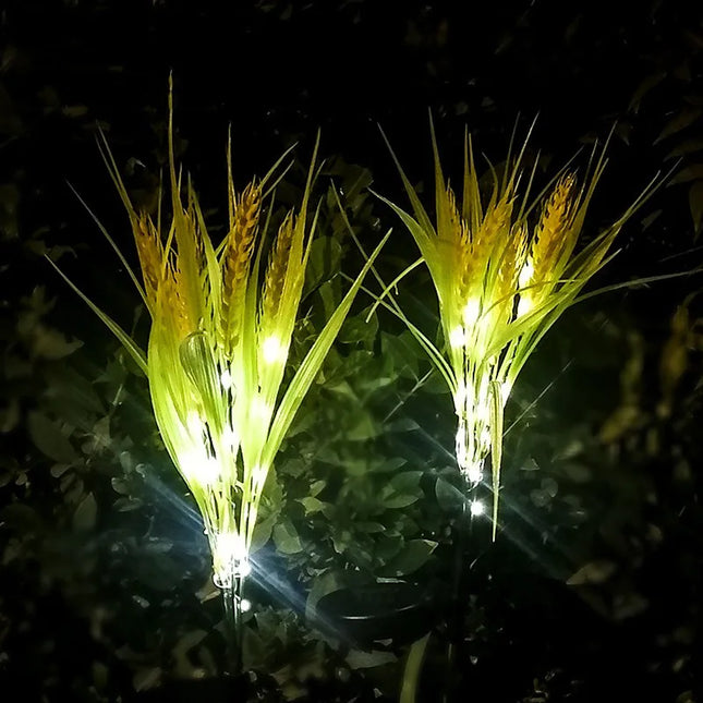 best Solar Wheat Light 