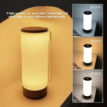 best rechargeable study lamp