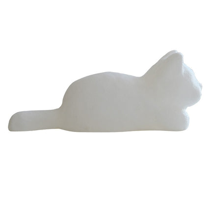 Cat Laying Down