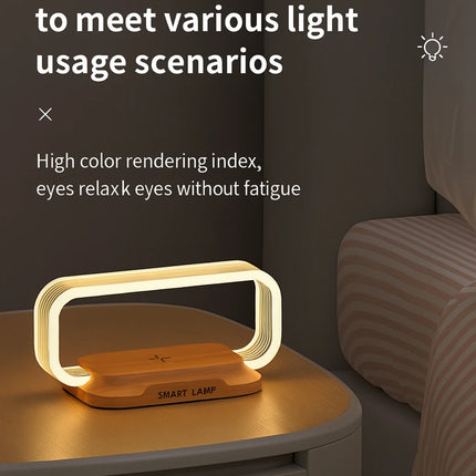 Chargeable light