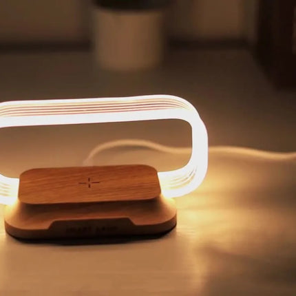 Chargeable light