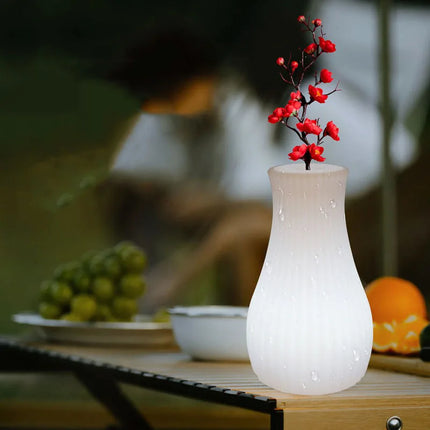 light up vase
