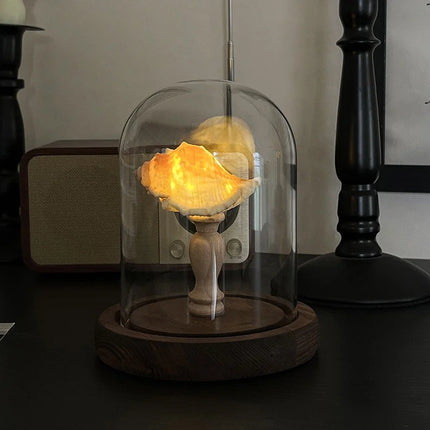 portable sea urchin night light