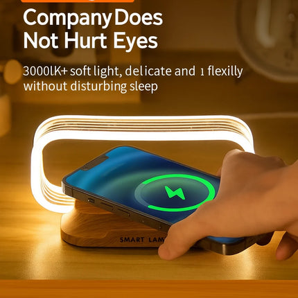 Chargeable light