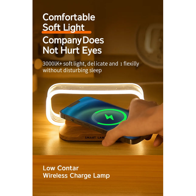 Chargeable light